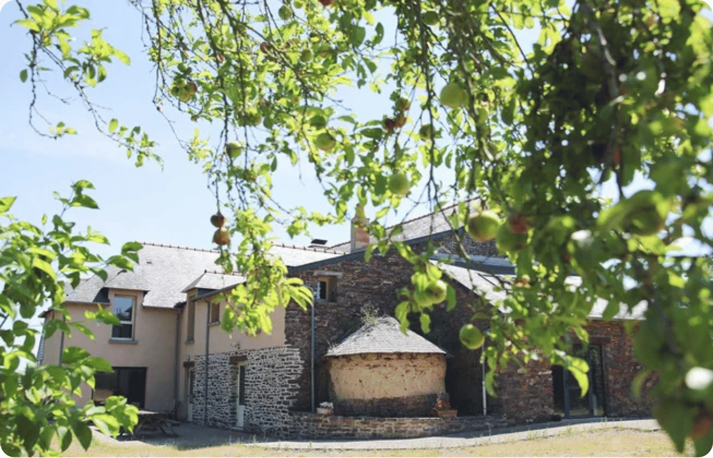 Où faire une retraite yoga en France ? 3 Ferme en pierre bretonne vue à travers les branches d'un pommier, lieu de retraite yoga Brocéliande France