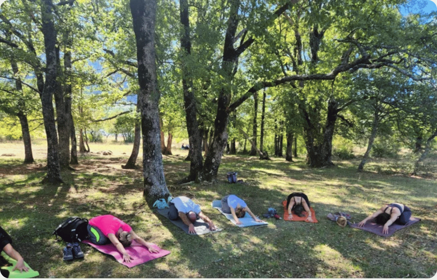 Où faire une retraite yoga en France ? 7 Séance de yin yoga en plein air sous les chênes du massif de la Sainte-Baume, retraite yoga chamanique dans le Var